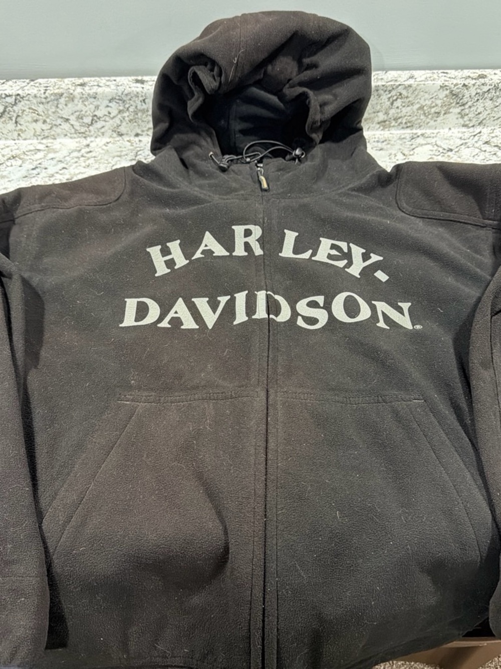 Harley-Davidson Black Hoodie with Orange and Gold Eagle Logo